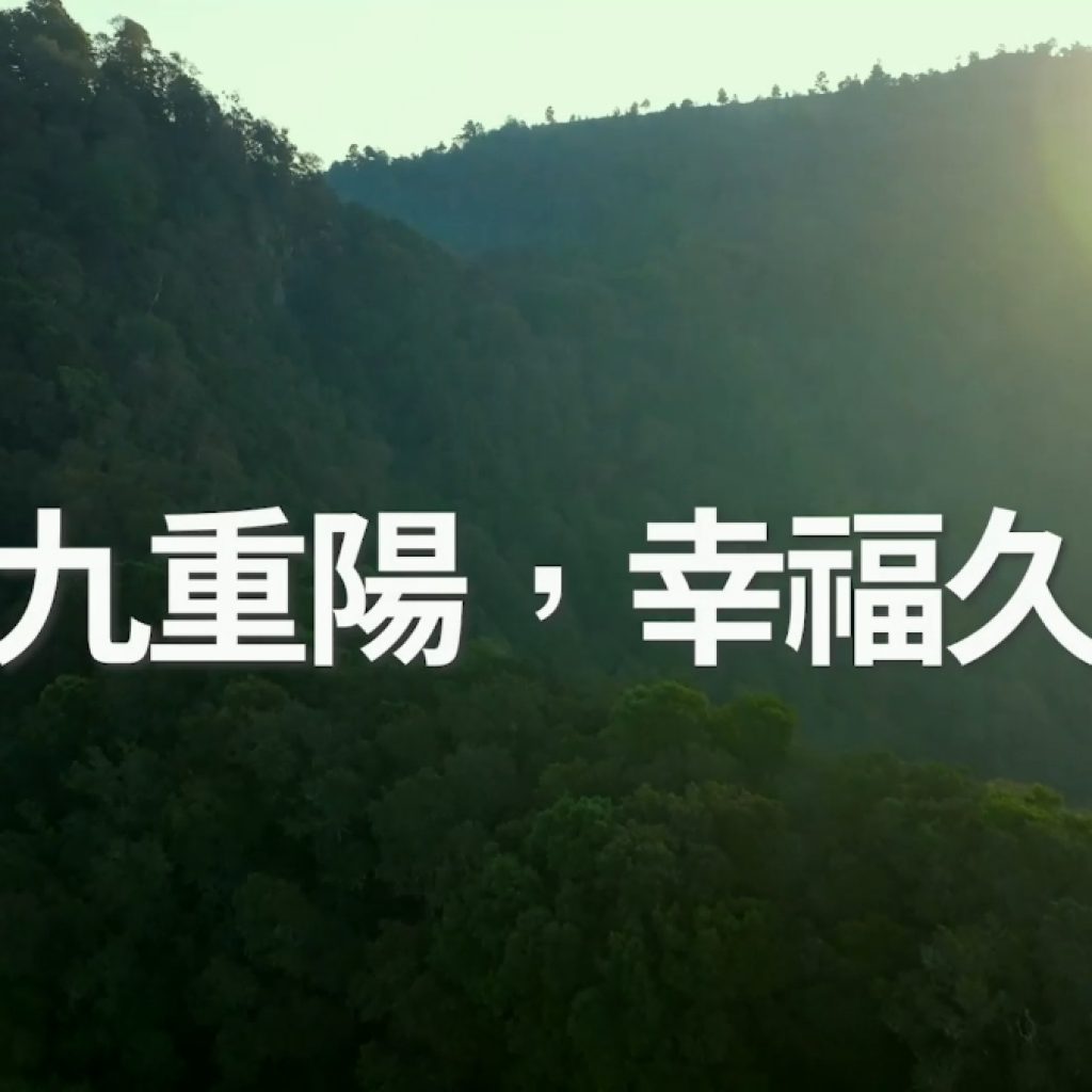 九九重陽 幸福久久